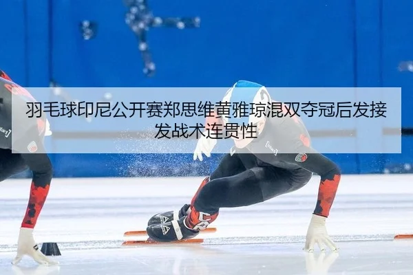 yu-mao-qiu-yin-ni-gong-kai-sai-zheng-si-wei-huang-ya-qiong-hun-shuang-duo-guan-hou-fa-jie-fa-zhan-shu-lian-guan-xing-3-405.jpg