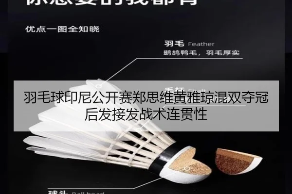 羽毛球印尼公开赛郑思维黄雅琼混双夺冠后发接发战术连贯性